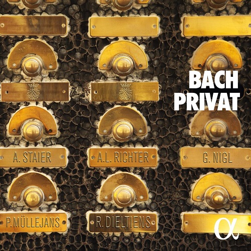 ALPHA241, Bach privato