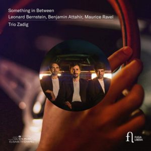 Fuga Libera_FUG748_5400439007482_Something in between_Trio Zadig