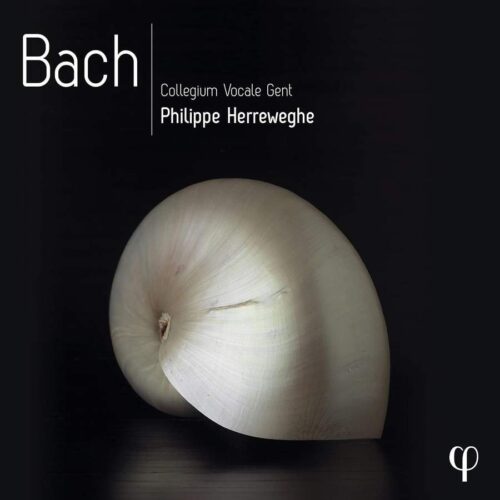 Phi, LPH038, 5400439000384, Johann Sebastian Bach, Bach, Collegium Vocale Gent; Philippe Herreweghe