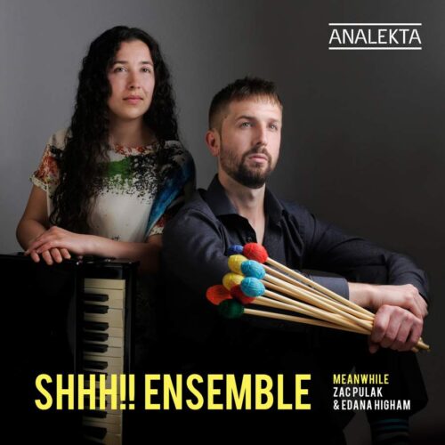 Analekta AN29139 0774204913922 AAVV Meanwhile Shhh!! Ensemble