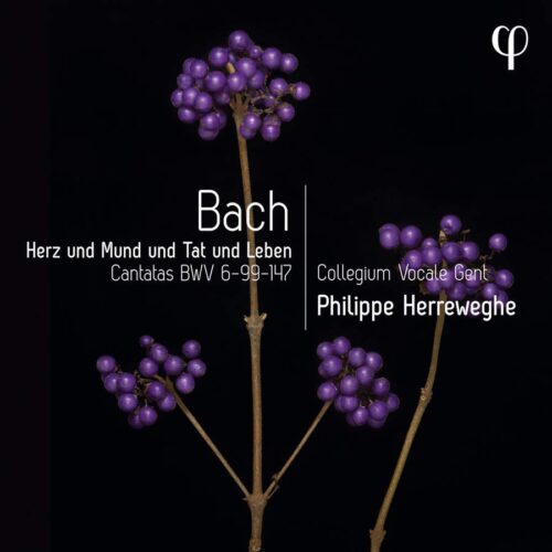 Phi LPH041 5400439000414 Johann Sebastian Bach Herz und Mund und Tat und Leben - Bach: Cantatas BWV 6-99-147 Collegium Vocale Gent, Philippe Herreweghe, direzione